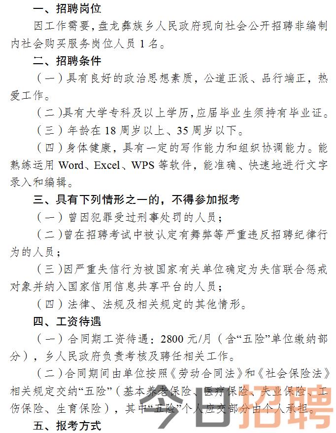 融水苗族自治县人民政府办公室最新招聘公告解析