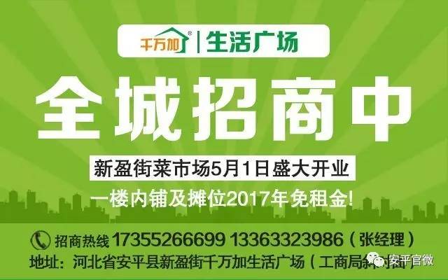 庐江县人力资源和社会保障局最新招聘概览