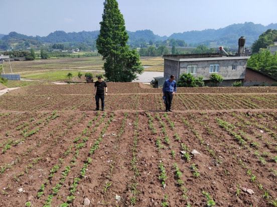 长寿区农业农村局新项目推动农业现代化，乡村振兴再添动力